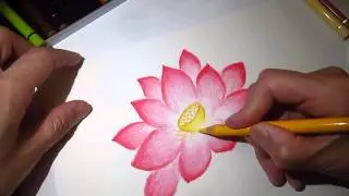 ClassPlan - Drawing lotus with pastel pencil asmr