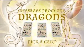 Messages from The Dragons 🐉 PICK A CARD Reading