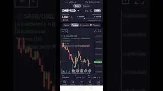 Shiba Inu - новая монета на бирже ЕXMO! Что в перспективе - 10х или провал?