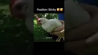 Position Sticky in css 🤣😄😀