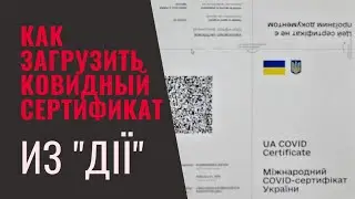 8 ноября 2021 г.