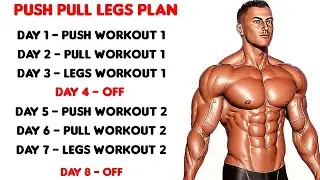 Push Pull Legs Workout Plan - Push Pull Legs Workout ( Effective )