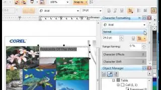 CoralDraw Tutorial 11- Whats new DR