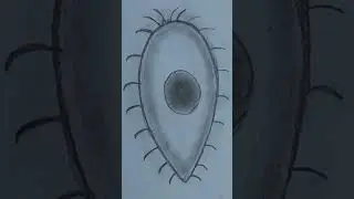 I drew a eye 👁