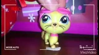 Lps:Почему не было видео?/Я ВЕРНУЛАСЬ!