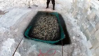 РЫБАЛКА НА ПАУК ПОДЪЁМНИК. КУЧА РЫБЫ! ТАКОГО УЛОВА Я ЕЩЕ НЕ ВИДЕЛ! Fishing in Russia