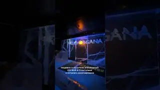 ICEBAR в Стокгольме - стоит ли посещения? #швеция #стокгольм #sweden #stockholm