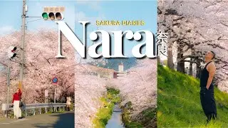 🌸 A Spring Day to Nara from Kyoto |  Best Sakura Spot | Keage Incline, Saho River | Cosy Japan Vlog