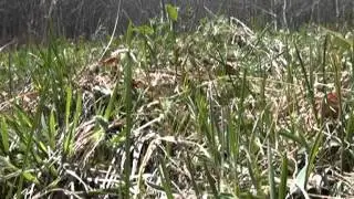 zuraglal gantulga 2 jargalant