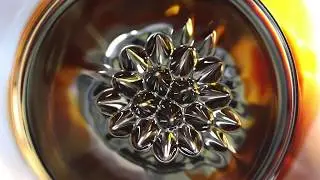 Ferrofluid and Magnet Fun
