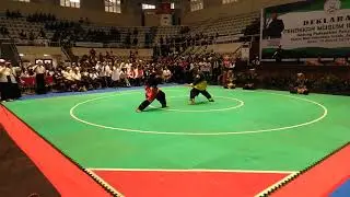 Silat Minangkabau ( Deklarasi Pendekar Muslim Indonesia ) di Padepokan IPSI