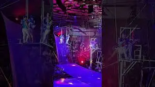 Flying Weiss Junior - flying trapese #circus #circusvideo