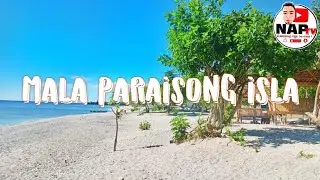 MALA PARAISONG ISLA || NAP TV