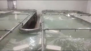 Hidrovias de Salga AMV Industrial