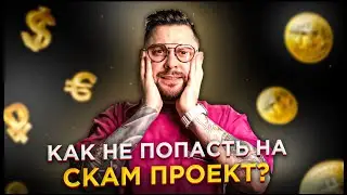 Разумный инвестор | Как не попасть на Скам Проекты?