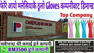 💸 RM3500 Earnings Gloves company demand Malaysia | Careplus M SDN BHD | new demand for Malaysia 2022