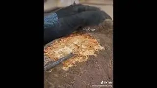 31 октября 2021 г.
