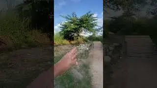 Deca Clark Wakepark Downhill MTB Jump Track