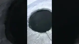 Замер кислорода в зимнем пруду.