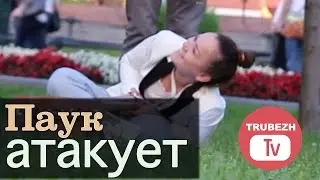 Паук атакует (жесткий розыгрыш над людьми) // Spider PRANK in Russia