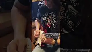 #guitarra #fender #fenderstratocaster #rock