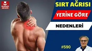 Sırt Ağrısı Nedenleri?  Sağlık, Prof.Dr.Serdar Akgün, Tıp Videoları