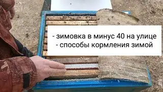 Чем и Как Кормить Пчёл Зимой. Зимовка Пчёл на Улице в ульях ППУ Медведь