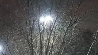 Снегопад в Калининграде.