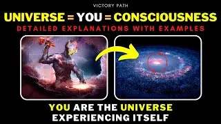 Afterlife And The Big Brain Universe [Clearly Explained]