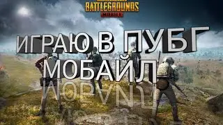 Играю в pubg мобайл