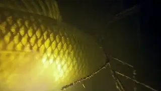 Супер начало охоты в новом году