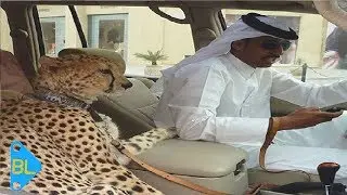 Sadece Dubai'de Görebileceğiniz Çılgınca şeyler.