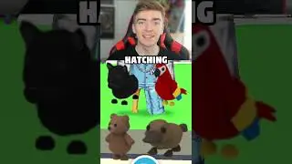 Hatch an egg in adopt me! #shorts #adoptme