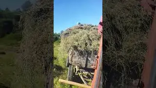 ТОННЫ СЕНА