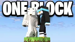 I Survived 100 Days on a SINGLE Block