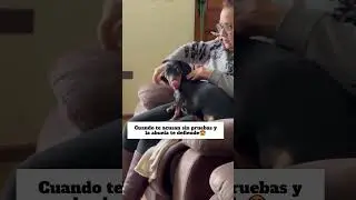Las abuelas que siempre protegen😍🐶