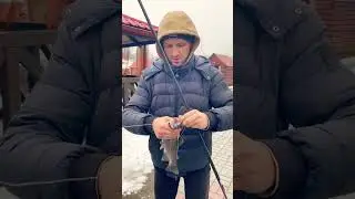 Бассейн с форелью в Трускавце 🎣