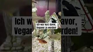 Ich war kurz davor Veganer zu werden