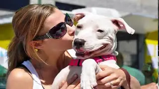 John Shipe - Pit Bull Rescue Woman