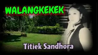 WALANGKEKEK - Titiek Sandhora