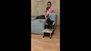 Трап для таксы (из мебельной трубы и разделочных досок)