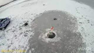 Удачная рыбалка !