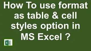 How to use format as table & cell styles option in MS Excel? Lesson 17