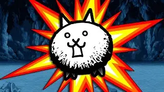 THESE CATS ARE GETTING KINDA CRAZY!!!