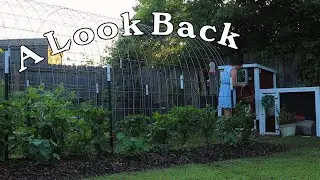 Things are About to Change | Homestead Dreaming