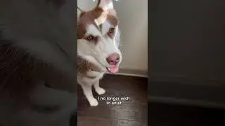 Do I have to??