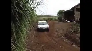 Rally de Estação 2015 