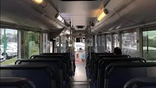 [CDC Hillsbus] Scania K280UB Euro 5 14.5m (Custom Coaches CB60 Evo II) - m/o 9808