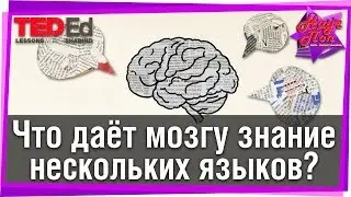 🧠 Что даёт мозгу знание нескольких языков? #TED Ed на русском