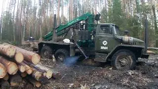 Жесть засадили урал лесовоз, порвали трос на лебедке , дороги упали!